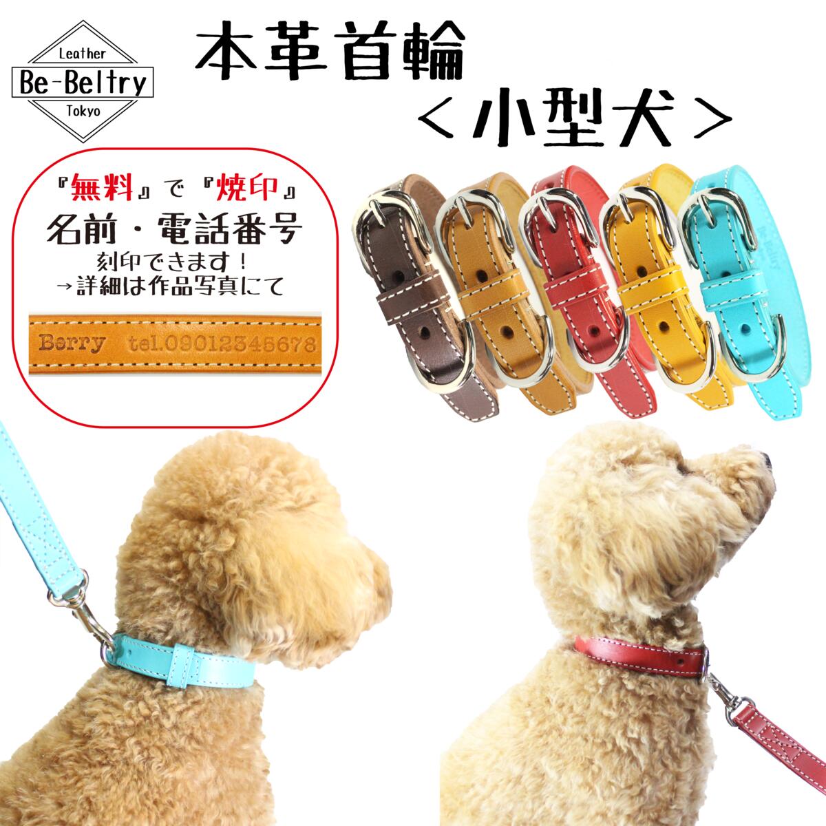 レビュー高評価の商品 楽天市場】カフェリード変更オプション : Be-Beltry 首輪・ハーネス・リード