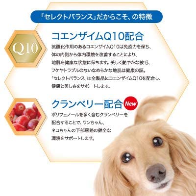 超特価-セレクトバランス エイジング チキン シニア犬用 7kg 老犬用