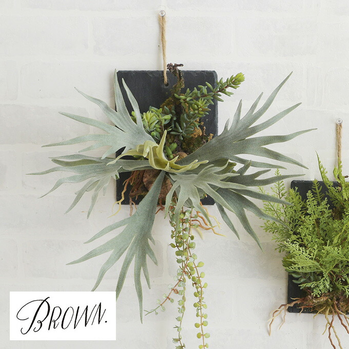 Brown. ブラウン ビカクシダ ウォールハンギング スレート 20 _PP02 991770 観葉植物 造花 フェイクグリーン コウモリラン 壁掛け ボタニカル 板付 リビング 玄関 カフェ 店舗