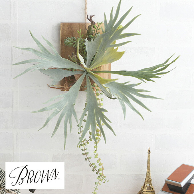 Brown. ブラウン ビカクシダ ウォールハンギング アカシア 20 991760 観葉植物 造花 フェイクグリーン インテリアグリーン コウモリラン 壁掛け　吊り下げ ボタニカル 板付 リビング 玄関 カフェ 店舗