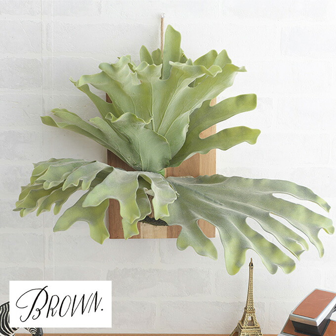 Brown. ブラウン ビカクシダ ウォールハンギング アカシア 30 991740 観葉植物 造花 フェイクグリーン インテリアグリーン コウモリラン 壁掛け 板付 ボタニカル リアル リビング 玄関 カフェ 店舗|DIYインテリア rooming ルーミング