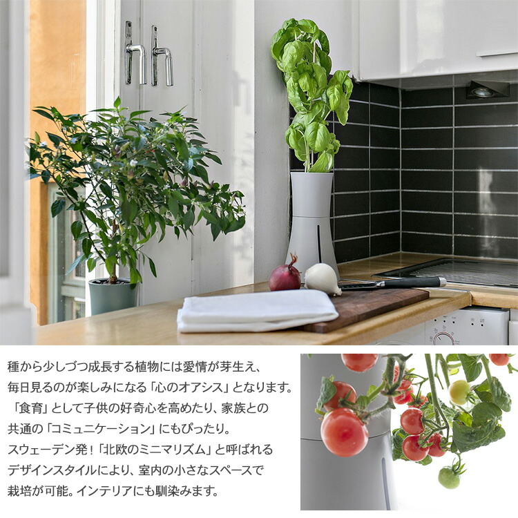Botanium ボタニアム 水耕栽培 ハーブ 観葉植物 ハイドロカルチャー 家庭菜園 花 ラッピング対応 簡単 野菜 おしゃれ Led 0 7l