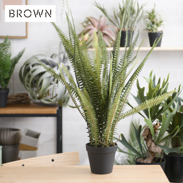 Brown. ブラウン ボストンファーン ポット グリーン 991030 観葉植物 フェイクグリーン インテリアグリーン タマシダ ツデー 鉢 おしゃれ ボタニカル グリーンディスプレイ リビング 玄関 カフェ 店舗