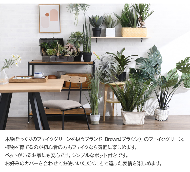 Brown ブラウン キセログラフィカ 爪 花附き Ba290 1 観葉植物 偽緑 ボタニカル 造花 小意気 ポット ごく小さい ファニチャー 発揮 癒し 休憩 人工観葉植物 送料無料 お復原不要 お房室に粉飾だけでリラックス所産が味わえる Damienrice Com