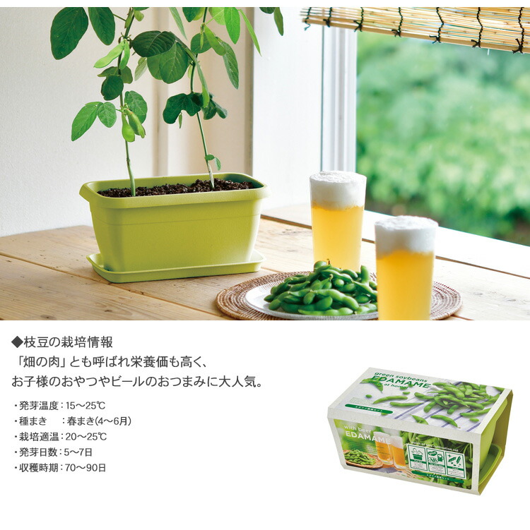 栽培キット エンジョイプランター おしゃれ ひまわり インテリア ガーデニング コスモス ビオラ プレゼント ミニトマト 体験 向日葵 夏休み 大人 子供 室内 家庭菜園 小学生 栽培セット 秋桜 花 趣味 野菜 全商品オープニング価格特別価格 ガーデニング