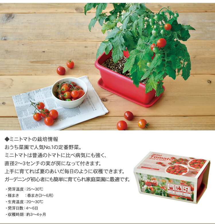 栽培キット エンジョイプランター おしゃれ ひまわり インテリア ガーデニング コスモス ビオラ プレゼント ミニトマト 体験 向日葵 夏休み 大人 子供 室内 家庭菜園 小学生 栽培セット 秋桜 花 趣味 野菜 全商品オープニング価格特別価格 ガーデニング