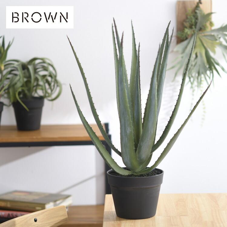 Brown. 赤銅色 アロエベラ ポット 57  991070  観葉草木 フェイクグリーン 室内装飾緑であること 多肉 多肉植物 鉢 今めかしい ボタニカル 緑であること見せびらかす リビング 部屋の入り口 喫茶店 バス発着場