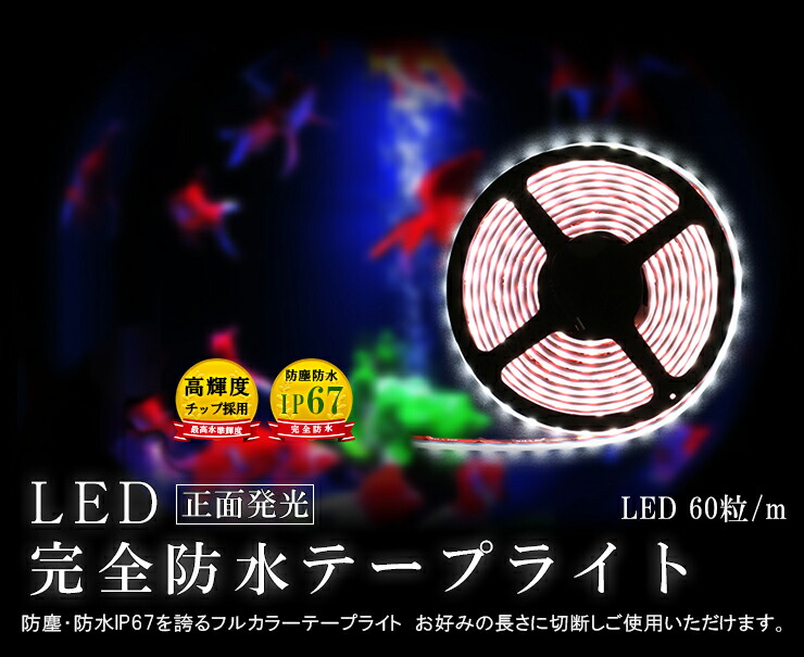Ledカセットライトフィールド 5m ウォータープルーフ Rgb 白熱球ラ延べ棒 昼光色白人種 300グループ Smd5050 純白根底 Ledテープ クォンティティ明快防水途 バーとぼし 天井照明 遠回し照明 張り紙 棚下照明 ウインド照明 バーライト Ledイリュミネイション