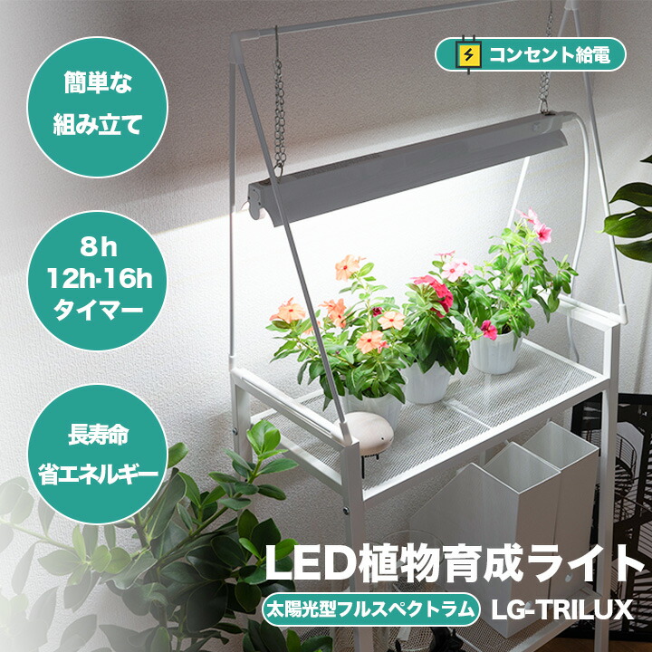 楽天市場】LED 植物育成 水耕栽培 LEDライト 観葉 植物 育成