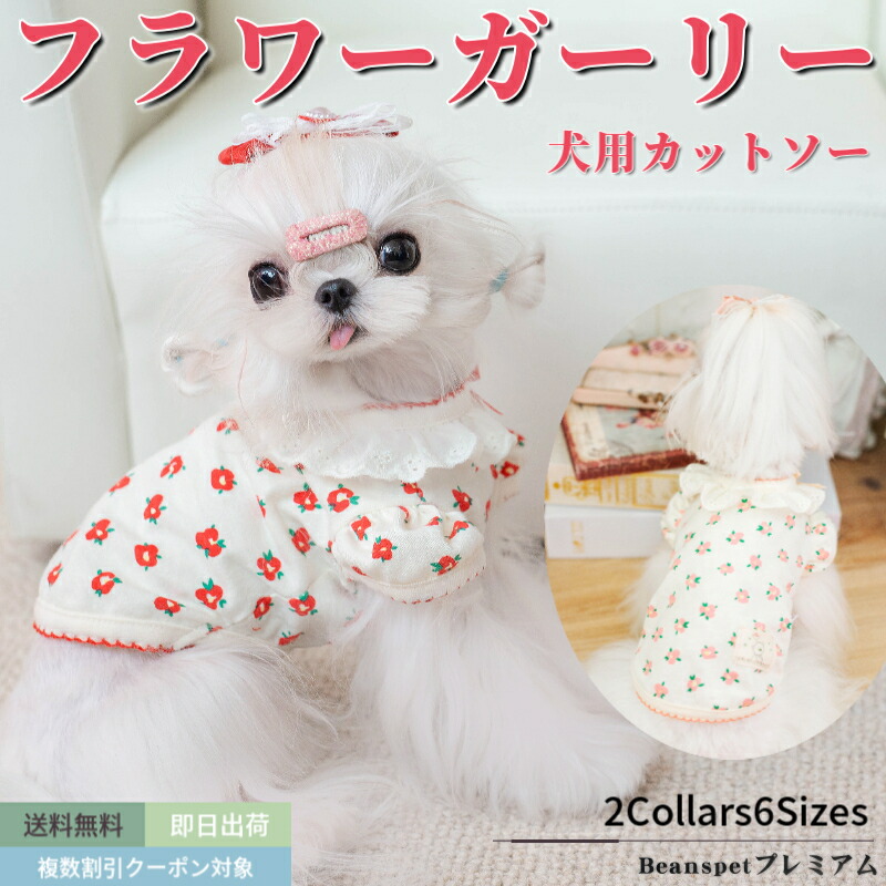 楽天市場】【全品ポイント5倍 3/11まで】【セール】 犬服 秋 犬