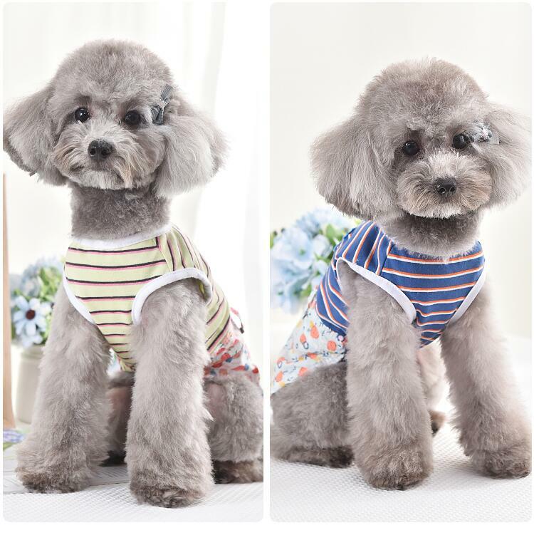 【新発売】犬ワンピースボーダーローズ柄犬服犬服可愛い犬の服ドッグウェア猫小型犬中型犬おしゃれ洋服春夏春夏動画あり