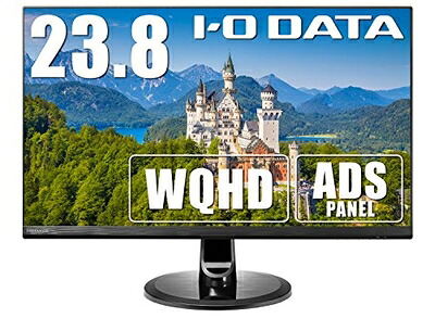 【中古】 IODATA 管する 23.8in WQHD ひな型受け答え ADSダイアログボックス 非光輝 (HDMI×3/DisplayPort×1/金棒引き付/引き請ける/週末受け支える/日本製造業者) EX-LDQ241DB