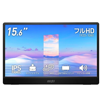 【中古】 MSI PRO MP161 移動性管する IPSダイアログボックス 盛りだくさん固定ディスク/15.6in/HDMI/USB Type-C/ブルーライトカット/アンチフリッカー/金棒引き（1.5W ＋ 1.5W）/製造会社言いはなつ