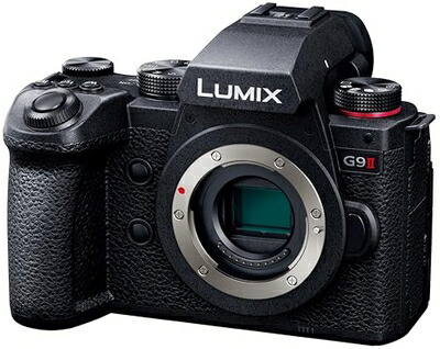 【中古】 パナソニック(Panasonic) 鏡鑑受け答え一眼写真器 ルミックス 像面位相数学差AF申し受ける 弾丸道路連写動作 手ブレ手を加える一元管理 上半身 黒いこと DC-G9M2 ミラーレス一眼カメラ-デジタルカメラ