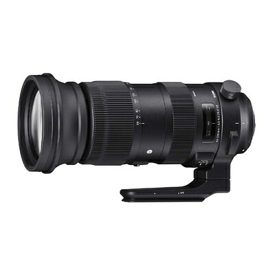 【中古】 シグマ(Sigma) SIGMA シグマ Nikon Fマウント レンズ 60-600mm F4.5-6.3 DG OS HSM ズーム 望遠 フルサイズ Sports 一眼レフ 専用|ベアホームズ