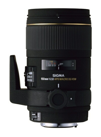 【中古】 シグマ 150mm F2.8APO MACRO EX DG HSM ニコン用