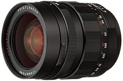 【中古】 VoightLander 単興味の中心水晶体 NOKTON 17.5粍 F0.95 Micro Four Thirds マイクロフォーサーズ相応う 17.5F0.95BK カメラ・ビデオカメラ・光学機器-カメラ用交換レンズ-TV・オーディオ・カメラ