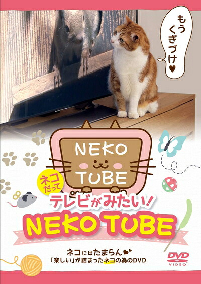 【中古】 ネコだってテレビがみたい NEKO TUBE IPMD-008 [DVD]