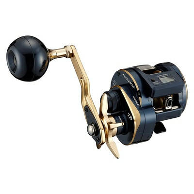 【中古】 ダイワ(DAIWA) ジギング 21 ソルティガIC 300|ベアホームズ