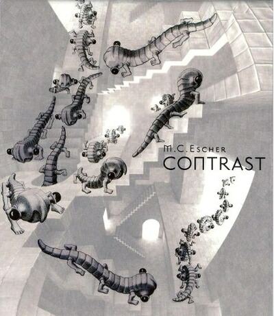 【中古】 M.C.エッシャー CONTRAST [DVD]｜ベアホームズ