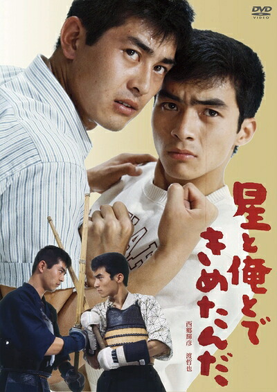 【中古】 日活110年記念 ブルーレイ＆DVDシリーズ 20セレクション 星と俺とできめたんだ [DVD]