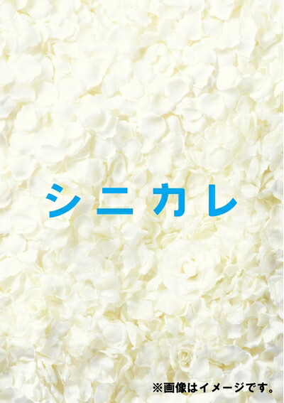 【中古】 シニカレ完全版 ブルーレイBOX [Blu-ray]