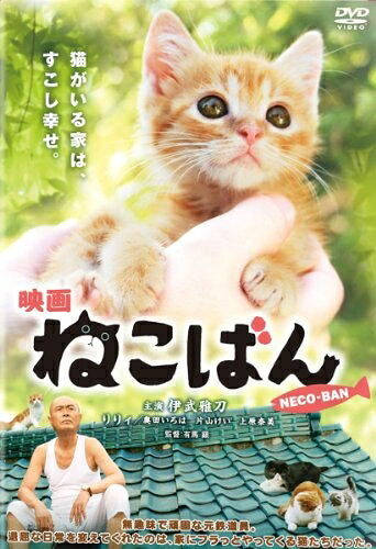 【中古】 映画 ねこばん [DVD]