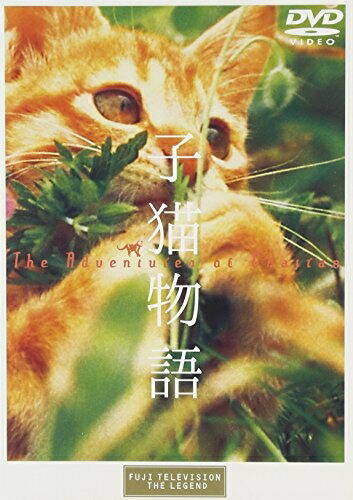 【中古】 子猫物語 [DVD]