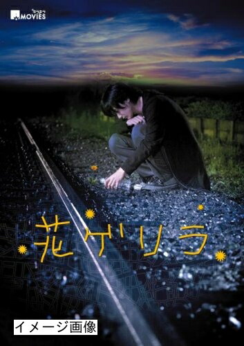 【中古】 キラキラMOVIES 「花ゲリラ」スタンダード・エディション [DVD]