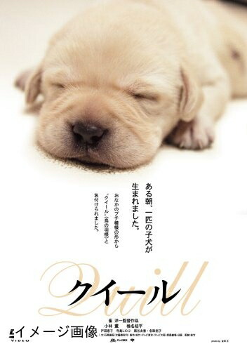 【中古】 クイール [DVD]