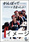 【中古】 がんばっていきまっしょい [DVD]