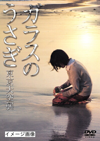 【中古】 ガラスのうさぎ [DVD]