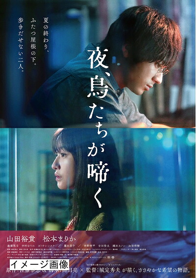 【中古】 夜、鳥たちが啼く　豪華版 [Blu-ray]