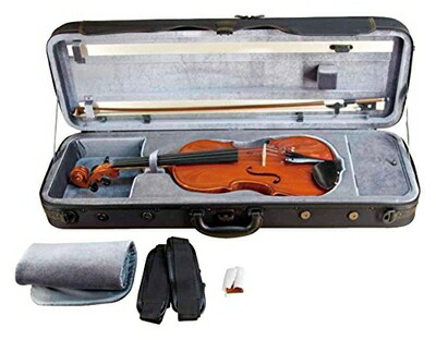 楽天市場】鈴木バイオリン エターナル・ヴァイオリン No.1100 4/4,3/4