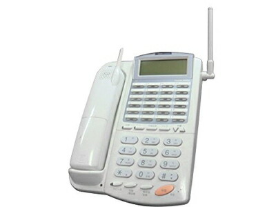 【中古】 NYC-24iZ-TELDHCL
