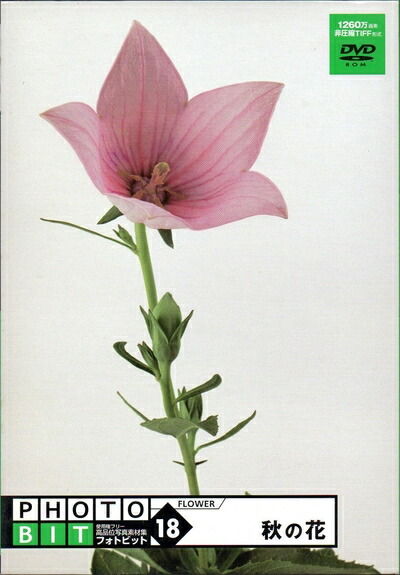 【中古】 Photobit 18 秋の花