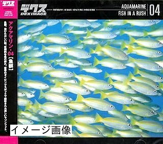 【中古】 Aquamarine 04 Fish インチ a Rush