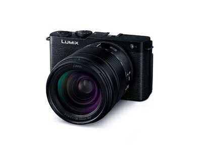 【中古】 パナソニック(Panasonic) フルサイズ ミラーレス一眼カメラ ルミックス S9H-K 高倍率ズームレンズキット ジェットブラック DC-S9H-K