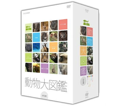 【中古】 はろ~!あにまる 動物大図鑑 DVD-BOX|ベアホームズ