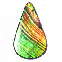 【Ammolite】 アンモライト ４５．８９CT
