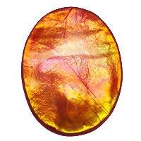 【Ammolite】 アンモライト ５０．１０CT ルースストーン-ジュエリー・アクセサリー