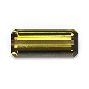 【Clinozoisite (Epidote)】クリノゾイサイト(エピドート) 1.18CT|ベアーズ ジェムコレクション