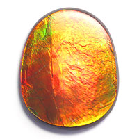 【Ammolite】 アンモライト 29.03CT|ベアーズ ジェムコレクション