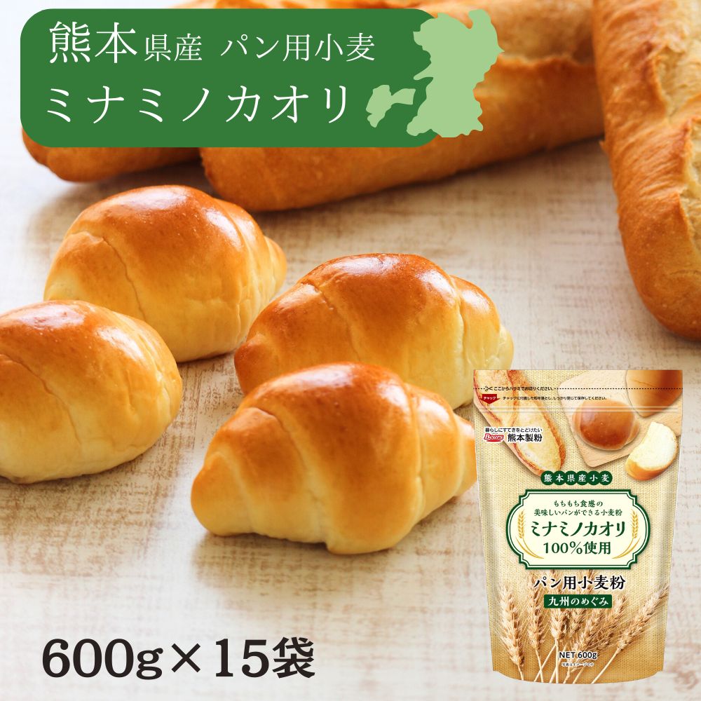 〔送料込〕熊本県産小麦 九州のめぐみ９kg (600gX15個) <br>ミナミノカオリ パン用 強力粉 パン材料 ホームベーカリー