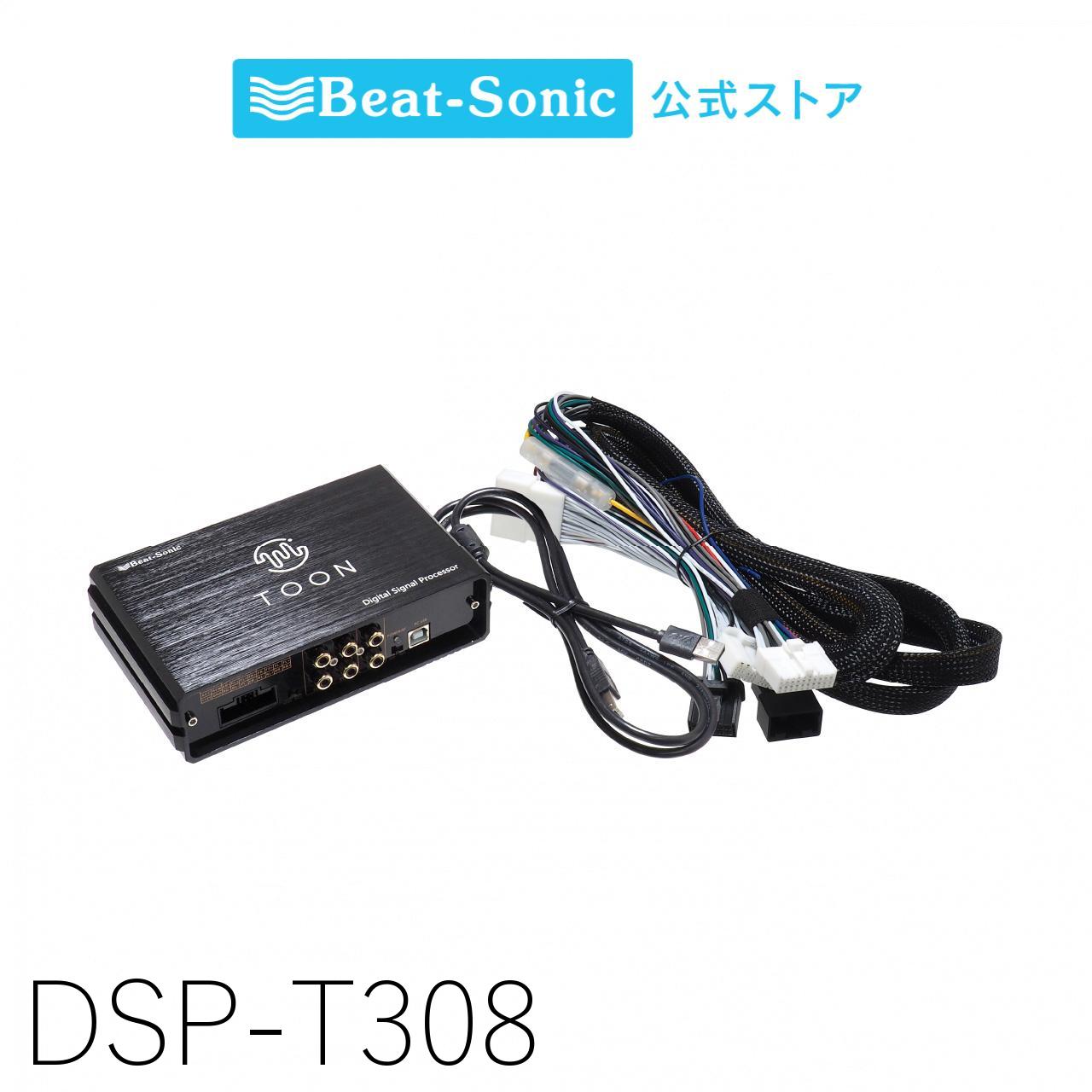 dsp-t308_1.jpg