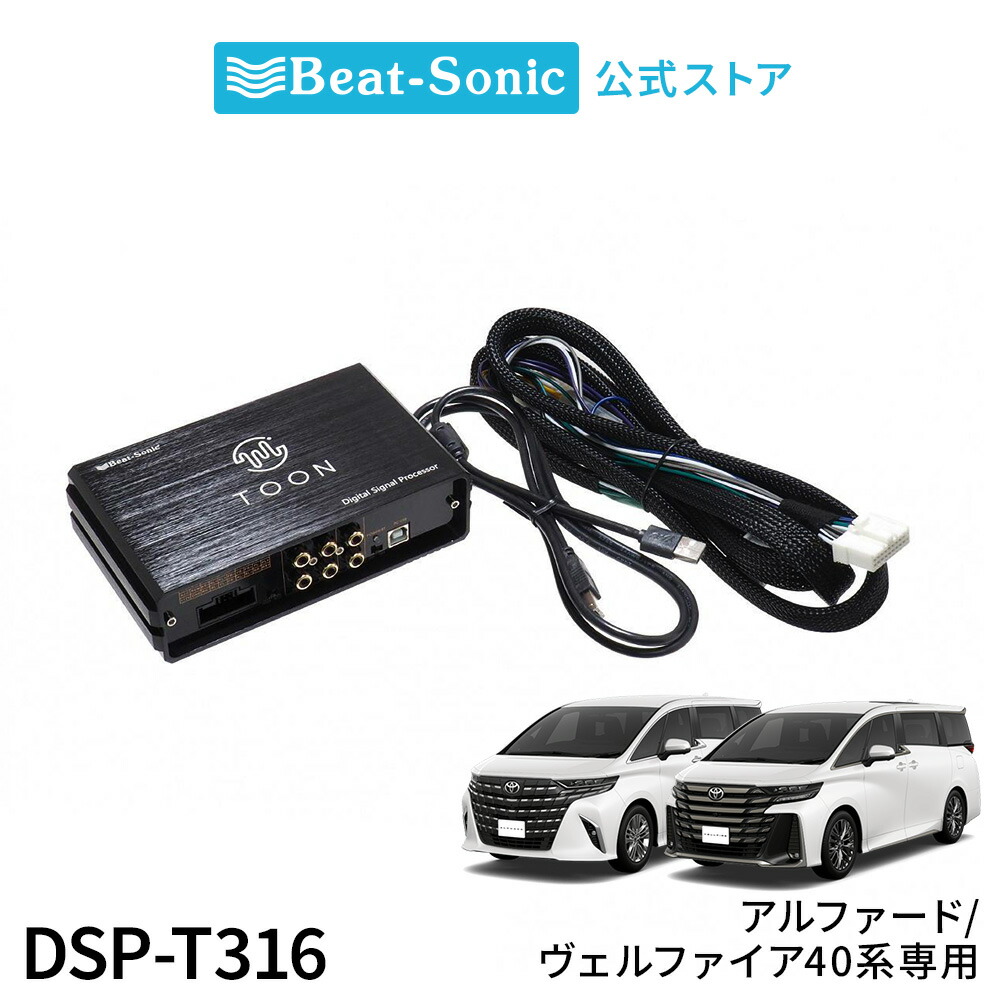 dsp-t316_1.jpg