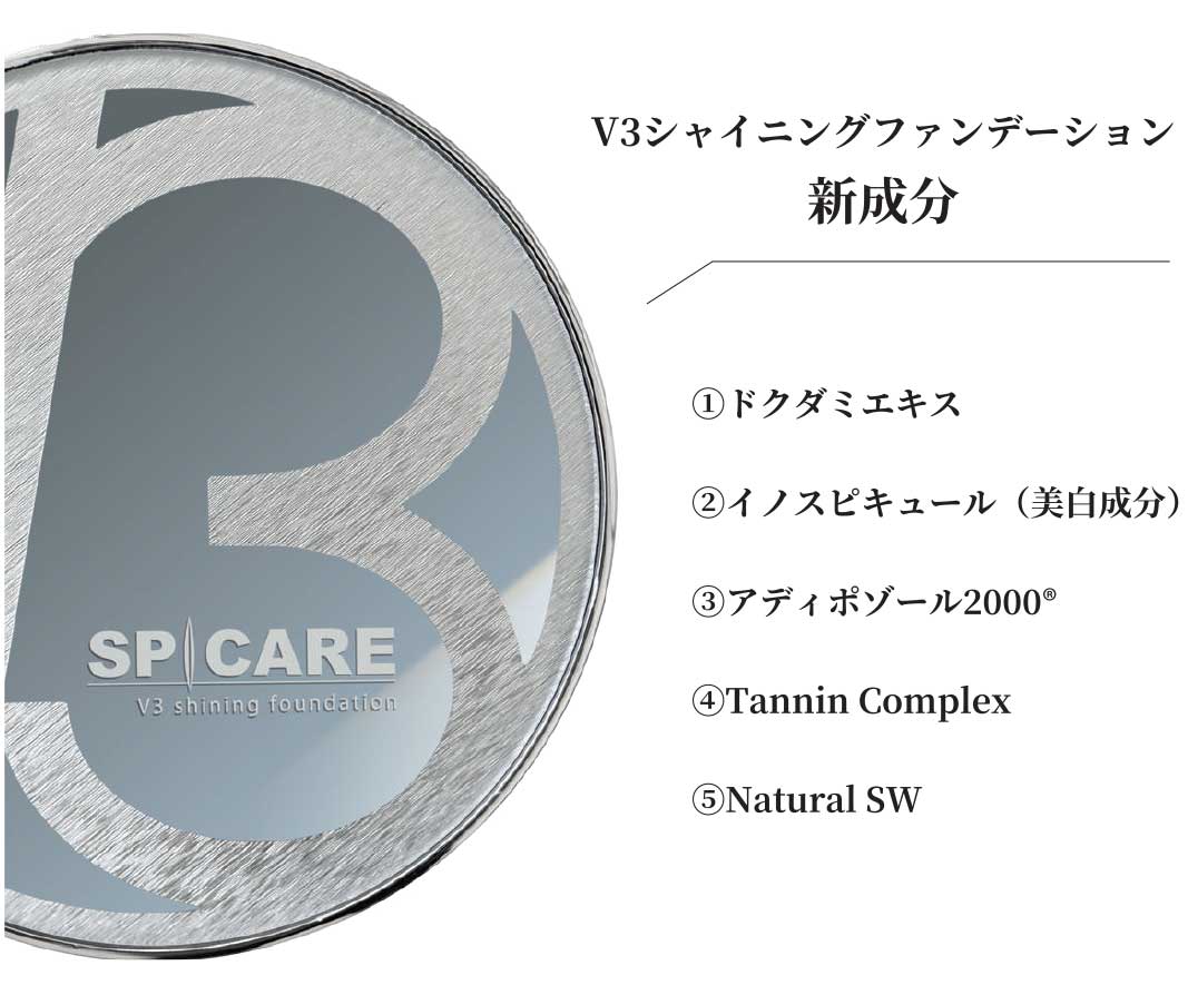 ふるさと納税 v3シャイニングファンデーション本体 econet.bi