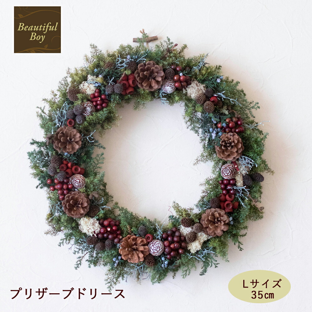 楽天市場】クリスマスリース 玄関 北欧 おしゃれ 24cm プリザーブド