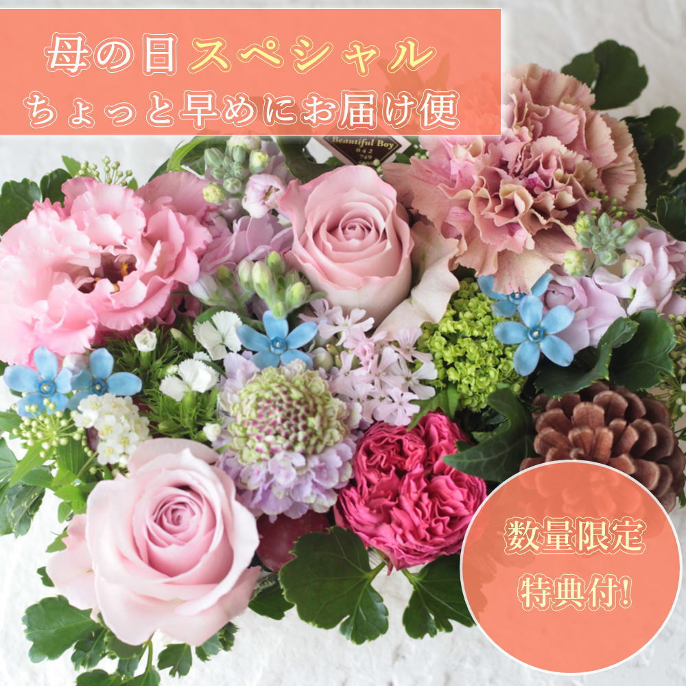 母の日 スペシャルちょっと早めにお届け便！ プレゼント ギフト 花 2026 数量限定 アレンジメント 特典付 母 義母 おしゃれ フラワーアレンジメント 母の日ピック 日付指定可 40代 50代 60代 70代 80代 90代 花束 フラワーアレンジ お礼 5月 w