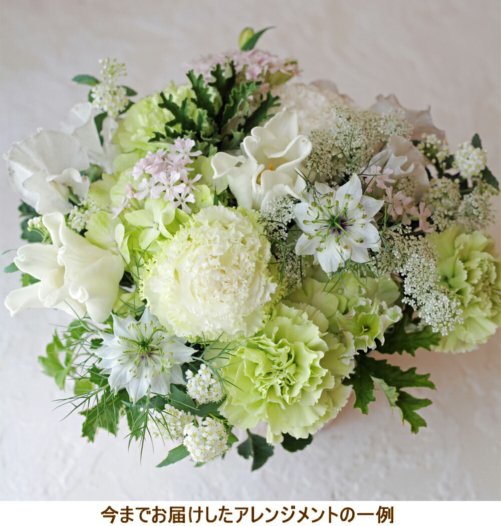 楽天市場 花 ギフト プレゼント お悔やみ ペット お供え 結婚祝い メッセージカード フラワーアレンジメント 生花 入学祝い 昇進祝い 歓送迎会 おしゃれ ホワイト B W ビューティフルボーイ 楽天市場 花 ギフト プレゼント お悔やみ ペット お供え 結婚祝い メッセージカード フラワーアレンジメント 生花 入学祝い 昇進祝い 歓送迎会 おしゃれ ホワイト B W ビューティフルボーイ